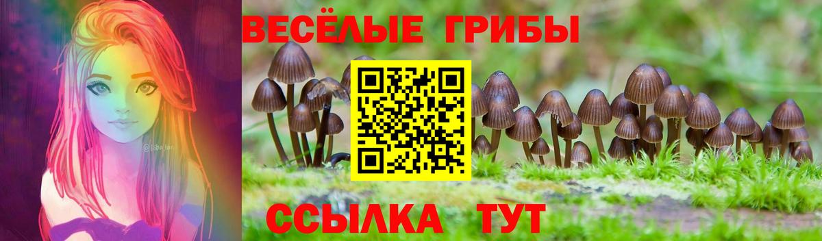 Аргун  Галлюциногенные грибы прущие грибы  Вход с VPN 